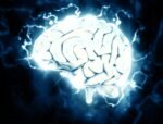 Researchers identify vascular changes in the brain linked to Alzheimer’s disease