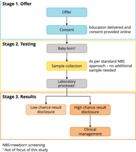 Key informant perspectives on implementing genomic newborn screening: a qualitative study guided by the Action, Actor, Context, Target, Time framework