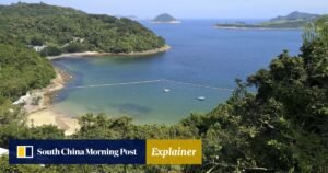 Hiking in Hong Kong: how to navigate the trails safely amid summer heat
