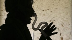 Will Lilly’s Zepbound make CPAP machines obsolete? Experts split