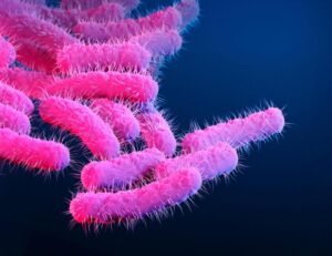 Shigella cases grow to 9 confirmed, 21 suspected in outbreak affecting homeless encampments