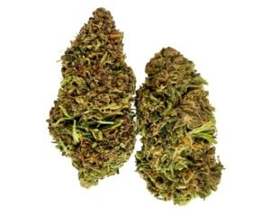 Pineapple Express CBD—The Green Nursery