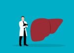 New approach accurately identifies medications most toxic to the liver