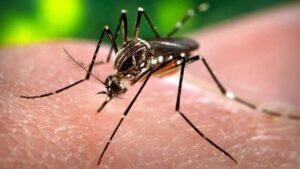 EEE risk raised in multiple Massachusetts towns