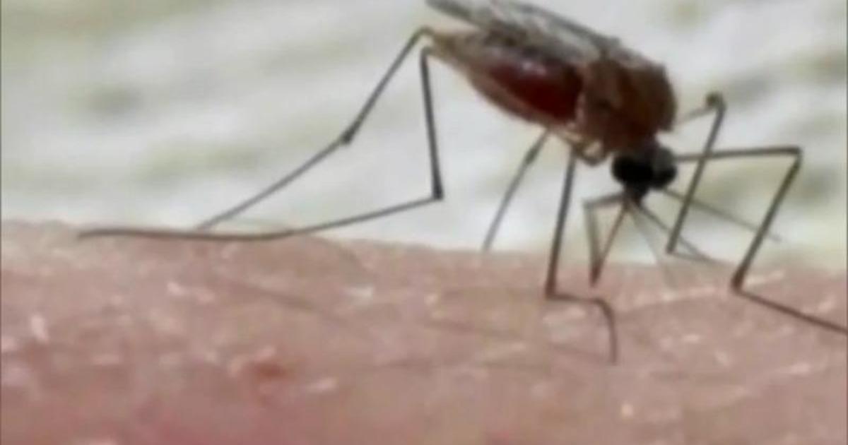 Increasing number of human West Nile Virus cases reported in North Texas