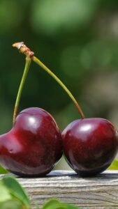 5 Health Benefits of Eating Cherries – WION