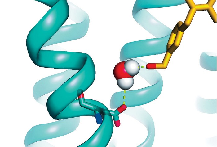 Safer opioids in mice with a sideways approach