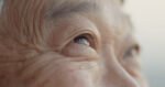 NIH researchers discover potential therapeutic target for degenerative eye disease