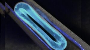 Artificial blood vessels mimic veins, offer heart surgery breakthrough
