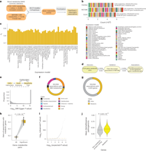 Metabolic gene function discovery platform GeneMAP identifies SLC25A48 as necessary for mitochondrial choline import