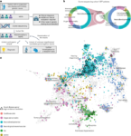 Next-generation phenotyping integrated in a national framework for patients with ultrarare disorders improves genetic diagnostics and yields new molecular findings