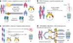 Lipidome changes due to improved dietary fat quality inform cardiometabolic risk reduction and precision nutrition