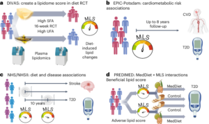 Lipidome changes due to improved dietary fat quality inform cardiometabolic risk reduction and precision nutrition