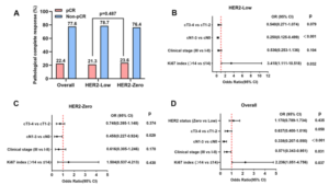 Efficacy and prognosis of HER2-Low and HER2-Zero in triple-negative breast cancer after neoadjuvant chemotherapy