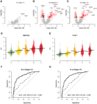 Large-scale proteomics reveals precise biomarkers for detection of ovarian cancer in symptomatic women