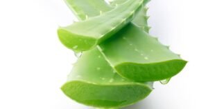 Cleopatra’s beauty balm under the microscope