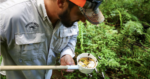 For Pasco Mosquito Control, chasing deadly pests is an endless cycle | News