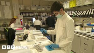 Colds can make MS worse, Southampton study finds