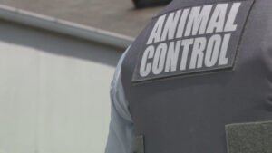 Groundhog tests positive for rabies in Frederick County, Maryland