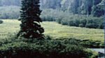 DEC advises caution after storms affect Adirondack trails