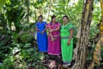 Indigenous midwives in Panama strive to preserve traditional medicine for maternal health