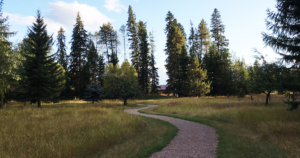 Unique Day Hike In Whitefish, Montana