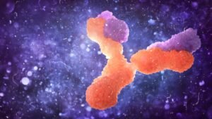 Reprogramming B Cells to Combat Cancer Cells and a Range of Diseases
