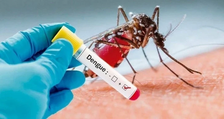 L’OMS annonce un risque élevé de propagation de la dengue en Iran