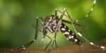 Canton City Public Health warns of an increase in positive West Nile Virus mosquitos