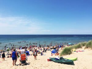 Washtenaw County beach closed to swimming due to high bacteria levels Washtenaw County beach closed to swimming due to high bacteria levels