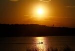 Dog dies after swimming in Lake Travis, LCRA tests algae