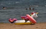 Oneida Shores Park beach reopens to swimming after high levels of E. coli found in water