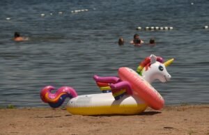 Oneida Shores Park beach reopens to swimming after high levels of E. coli found in water