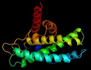 New insights into p16 protein could lead to advances in cancer diagnosis and treatment New insights into p16 protein could lead to advances in cancer diagnosis and treatment