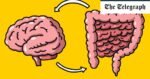 Seven daily habits to improve your gut health and boost your brain power