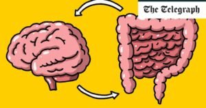 Seven daily habits to improve your gut health and boost your brain power