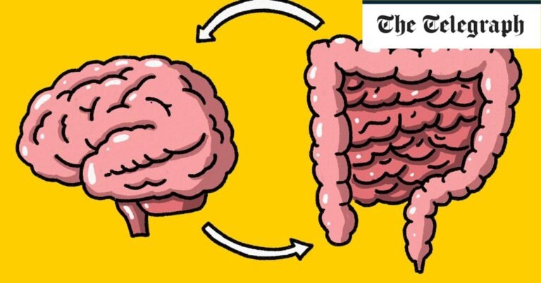 Seven daily habits to improve your gut health and boost your brain power