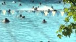 Officials push swimming lessons as 6 drownings reported