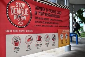 Over 10,000 dengue cases so far, exceeds total number in 2023, Latest Singapore News