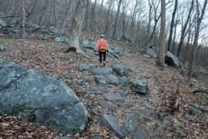 Get Outside and Take a Hike on New Jersey’s Best Trail