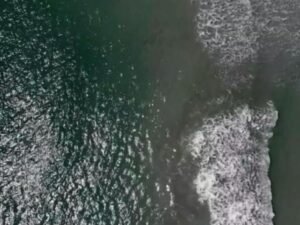Swimming advisory issued after unsafe bacteria levels found in water near Carolina Beach