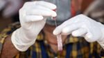 4-year-old boy in Gujarat’s Bharuch dies of suspected Chandipura virus 