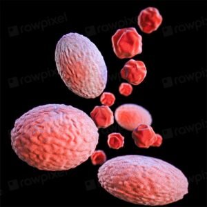 Chlamydia cases rising sharply in Lee County
