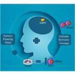 Electrical currents may make body’s cancer-killing cells even better killers