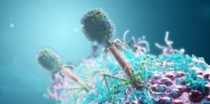 why viruses could be as important for good health as gut bacteria
