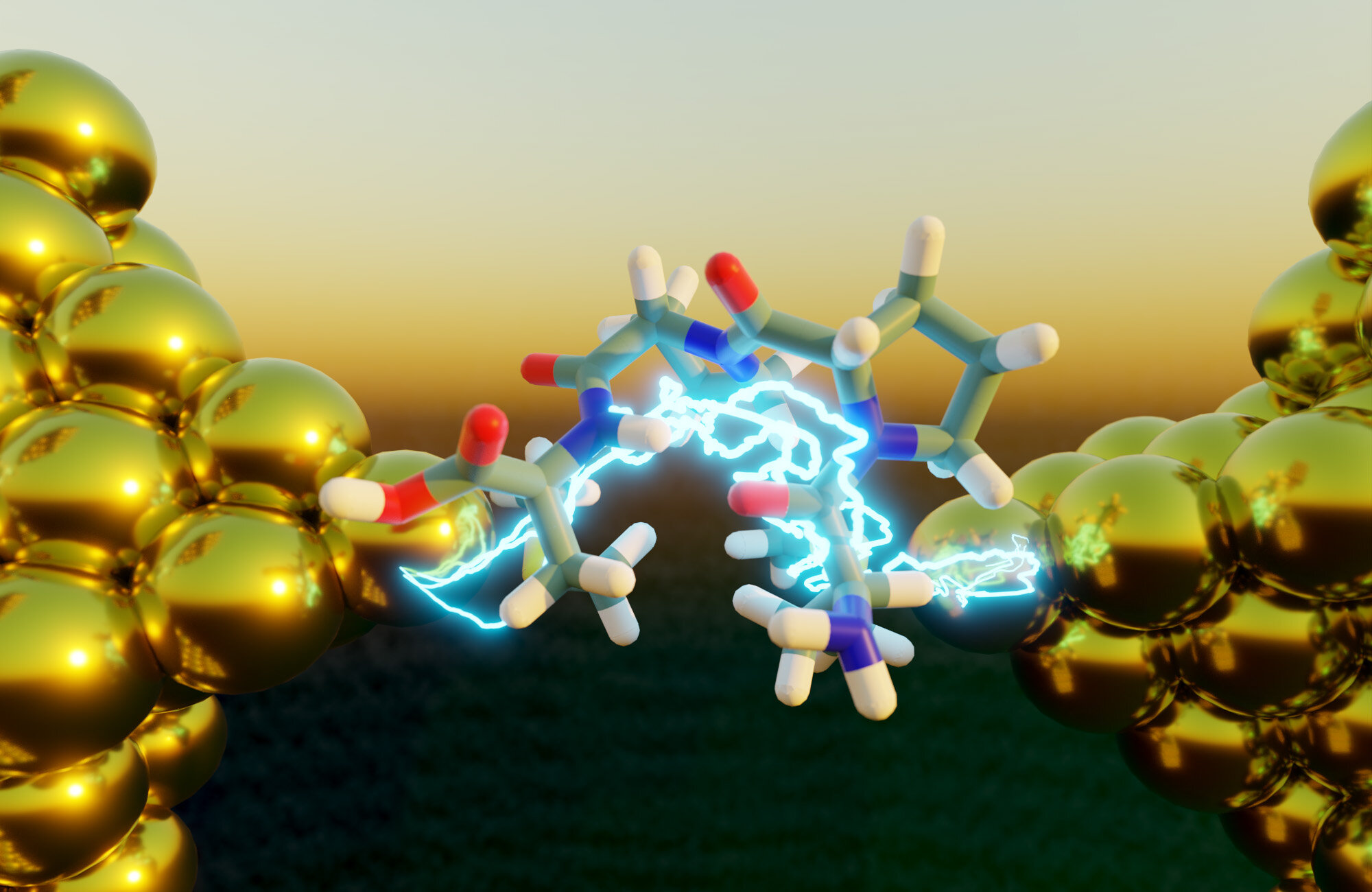 Folded peptides are more electrically conductive than unfolded peptides, study reveals