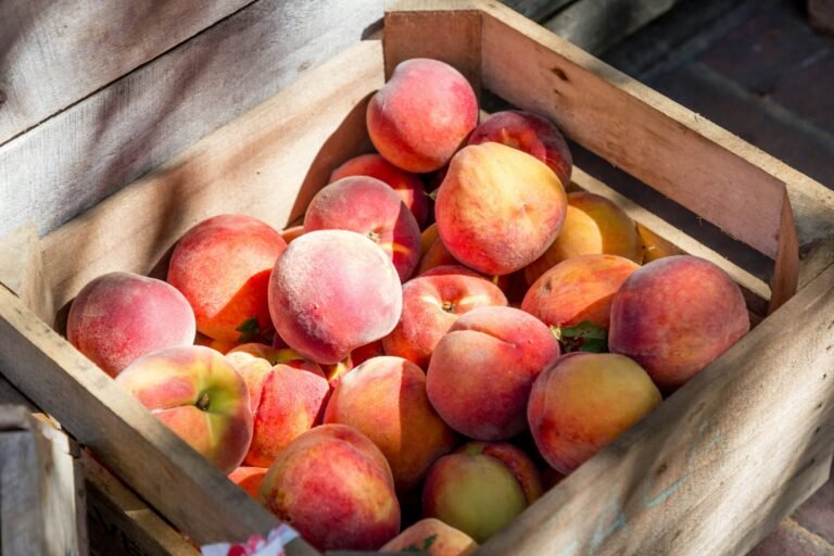 Boosting fruit intake during midlife can ward off late-life blues, study finds
