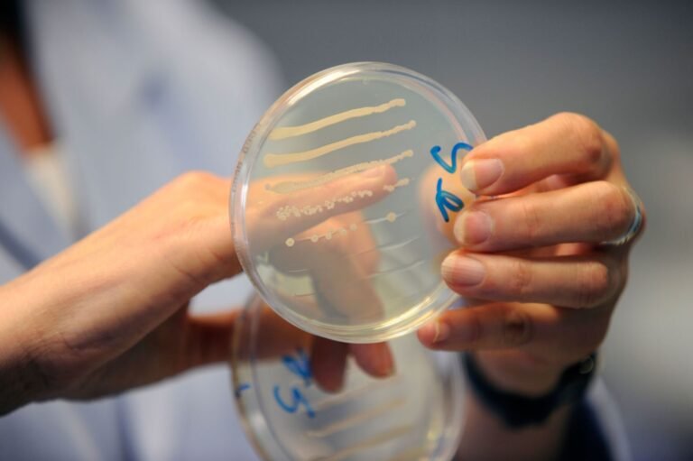 Common mouth bacteria found to ‘melt’ certain cancers in ‘surprising’ discovery
