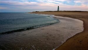 Video shows shark munching on seal off Nantucket, closing beach to swimming Video shows shark munching on seal off Nantucket, closing beach to swimming