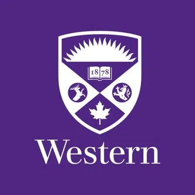 Neuroimaging technology advanced by Western University research team